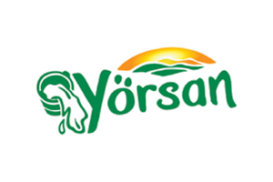 Yörsan Yörsan